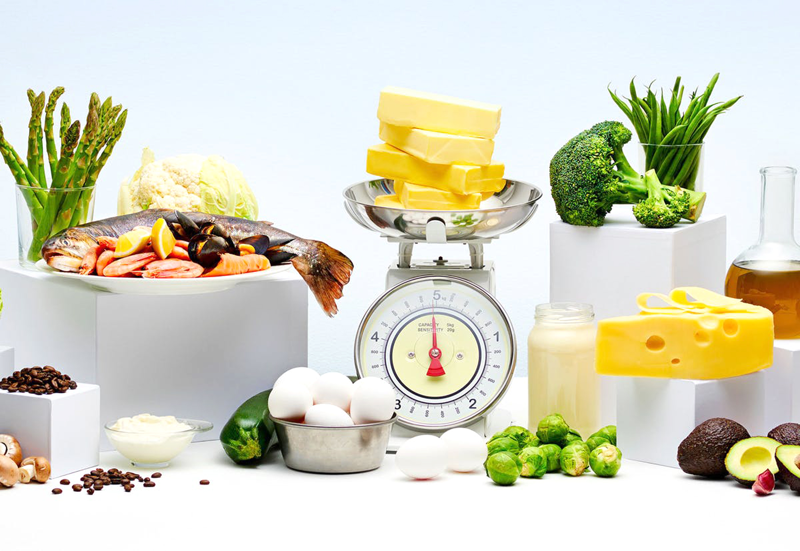 Best weight loss diet