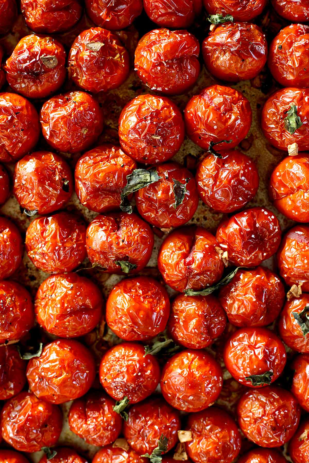 Tasty Roasted Tomatoes